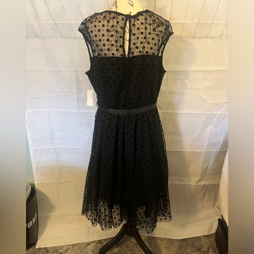 NWT Little Black Dress